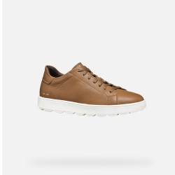 GEOX ΠΑΠΟΥΤΣΙΑ SNEAKERS SPHERICA ECUB ΚΑΦΕ
