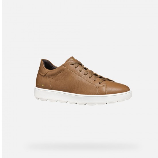 GEOX ΠΑΠΟΥΤΣΙΑ SNEAKERS SPHERICA ECUB ΚΑΦΕ